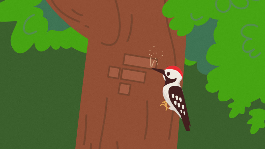 FTX listed tokenized lumber futures so a woodpecker carved the crypto ecxhange's logo into a tree.