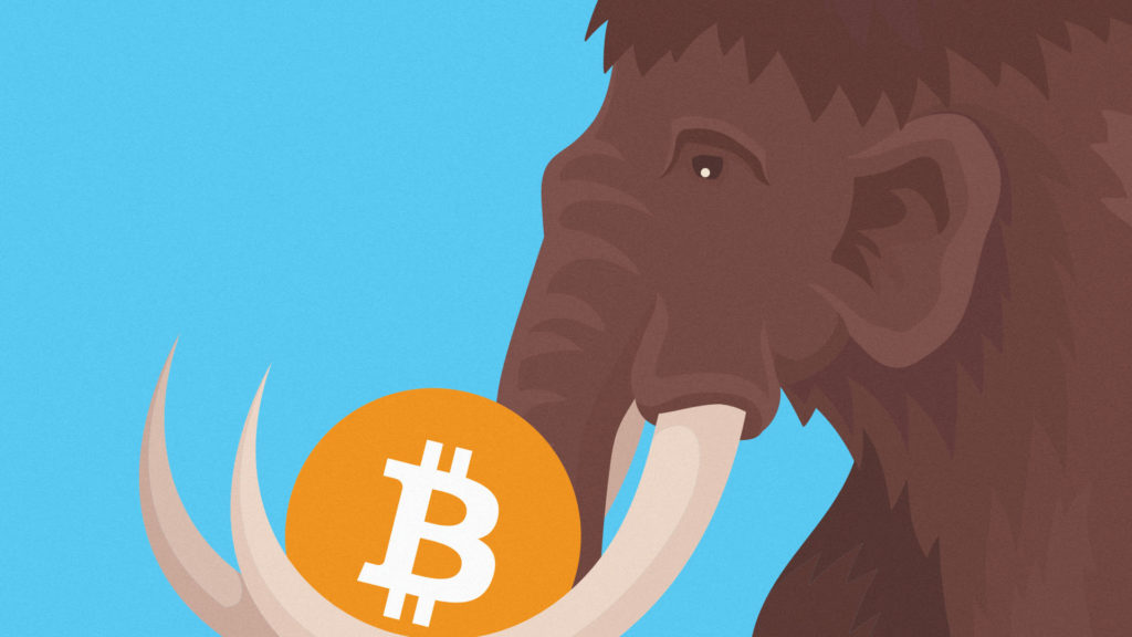 Other billionaires want to save the world with electric cars and smart glasses. The Winklevoss twins are pitching the woolly mammoth.