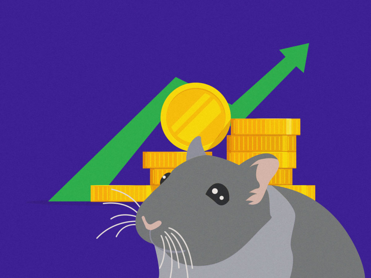 Crypto trading hamster outperforms Bitcoin, Warren Buffett, Cathie Wood