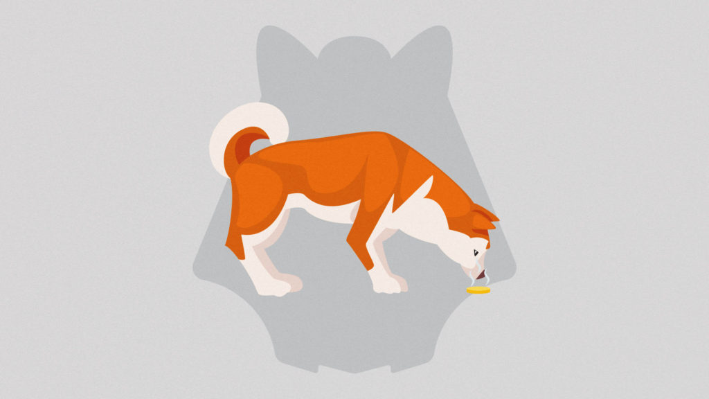 AnubisDAO sports a Shiba Inu mascot in ancient Egyptian garb. It went on sale last Thursday, by Friday crypto investors had lost everything.