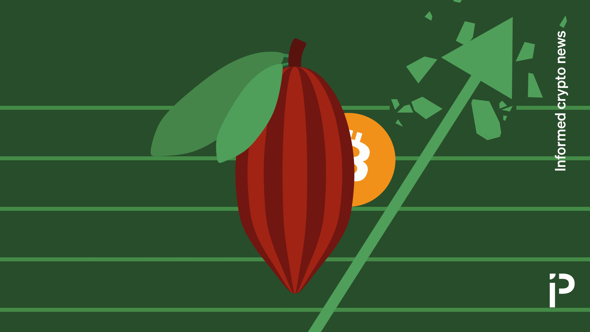 Cocoa is the new bitcoin