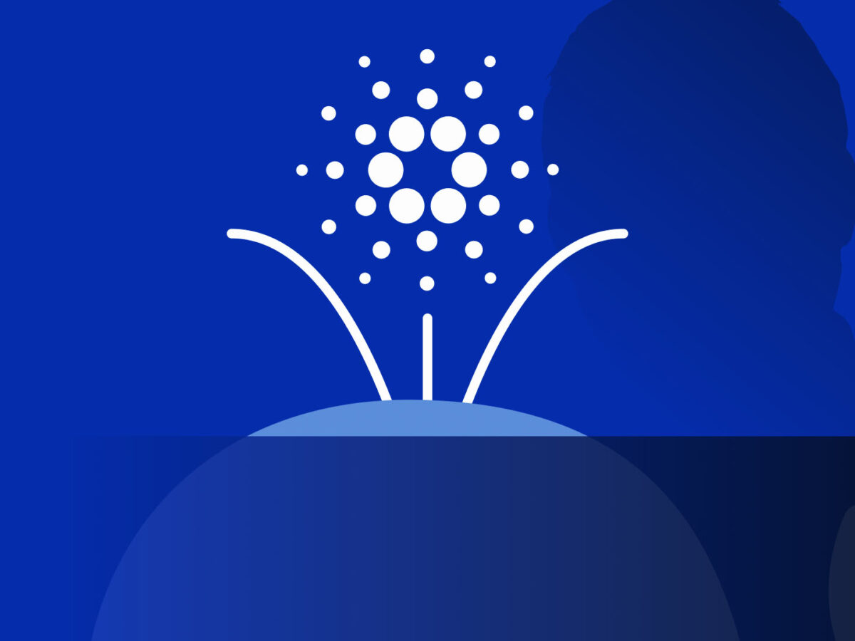 Cardano whale slams Charles Hoskinson, calls for voting revolt