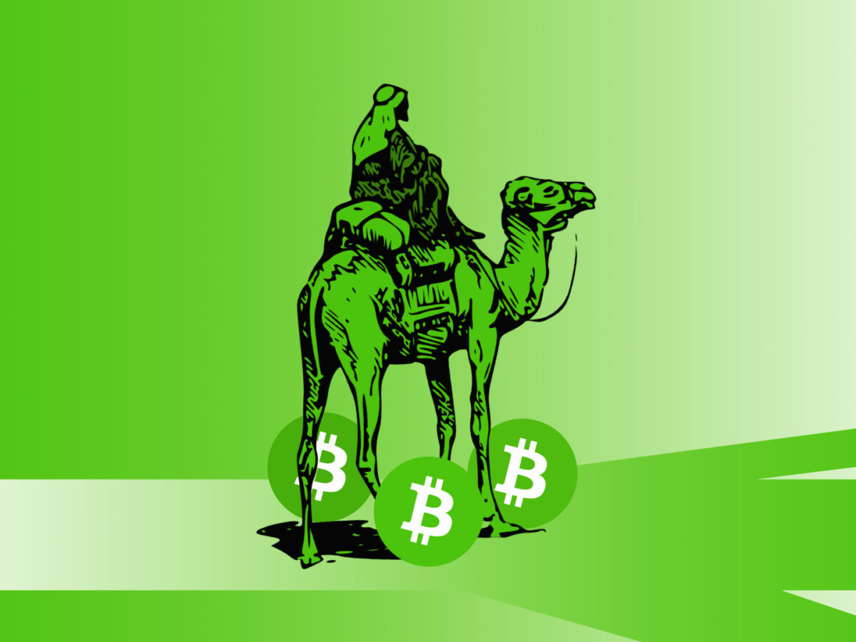 Who moved $3M in Silk Road BTC? Dormant addresses spring back to life