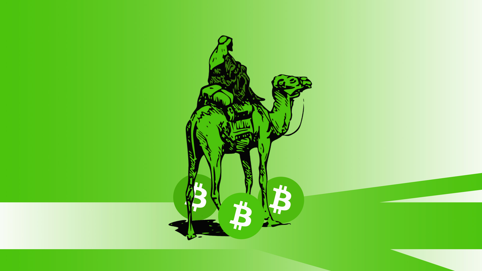 Who moved $3M in Silk Road BTC? Dormant addresses spring back to life