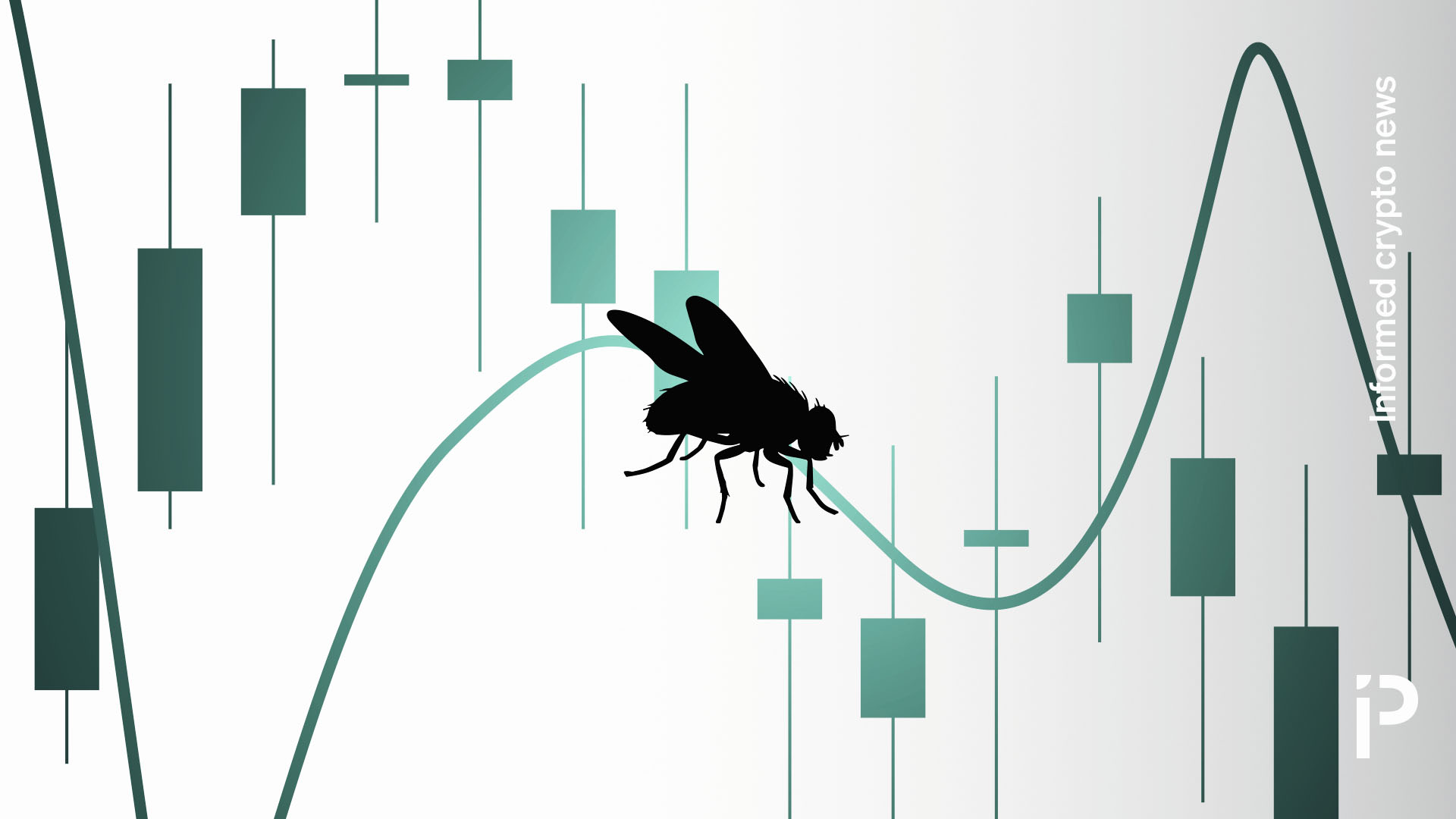 A ‘fly' is now trading crypto and is only down 1%